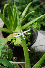 Load image into Gallery viewer, Dragonfly Ring - Pearl and Larimar in brass-Jenstones Jewelry
