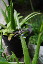 Load image into Gallery viewer, Dragonfly Ring in Labradorite, Larimar &amp; Pearl in Brass-Jenstones Jewelry
