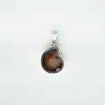 Load image into Gallery viewer, Ammonite and Small Pearl Pendant - Silver-Jenstones Jewelry
