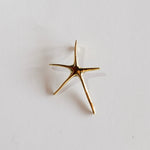 Load image into Gallery viewer, Brass Spiny Starfish Pendant-Jenstones Jewelry
