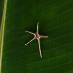 Load image into Gallery viewer, Brass Spiny Starfish Pendant-Jenstones Jewelry
