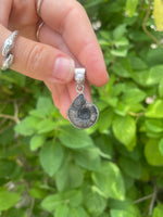 Load image into Gallery viewer, Ammonite and Pearl Pendant

