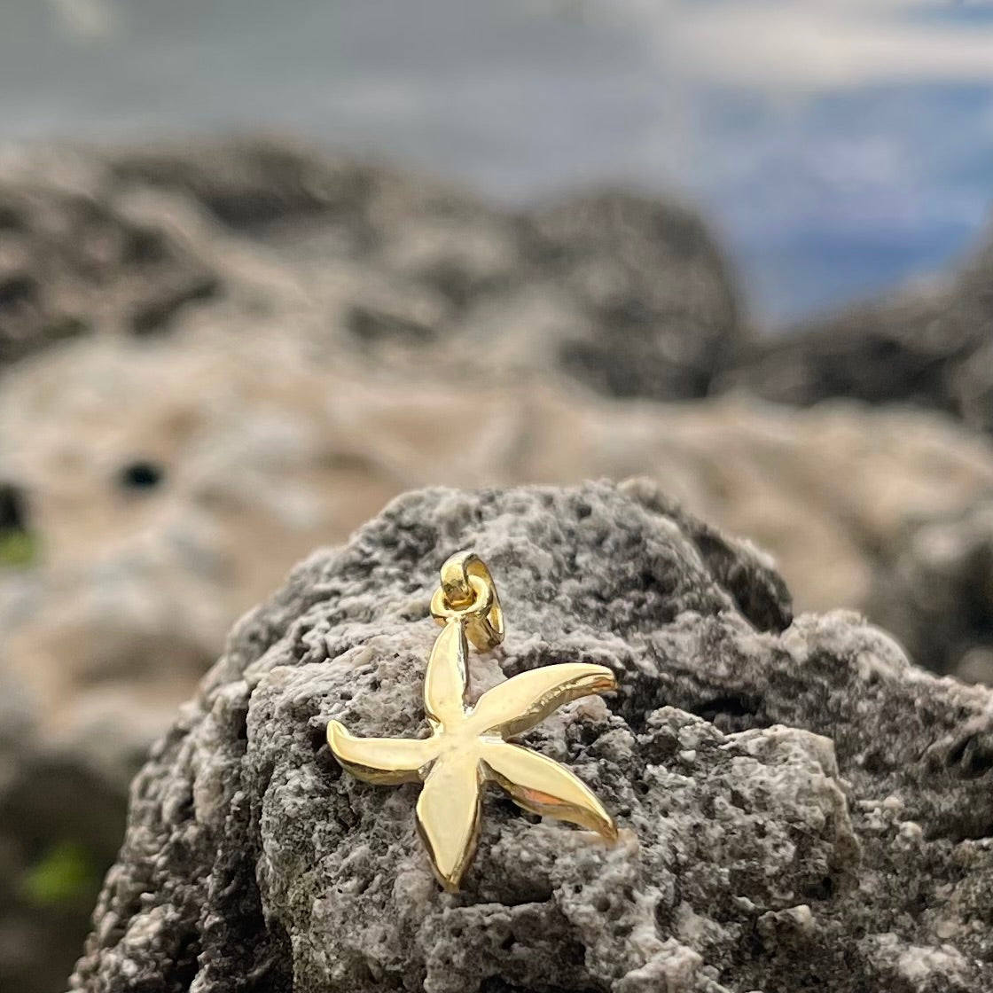 Starfish Pendant Small Gold Plate over Bronze-Jenstones Jewelry