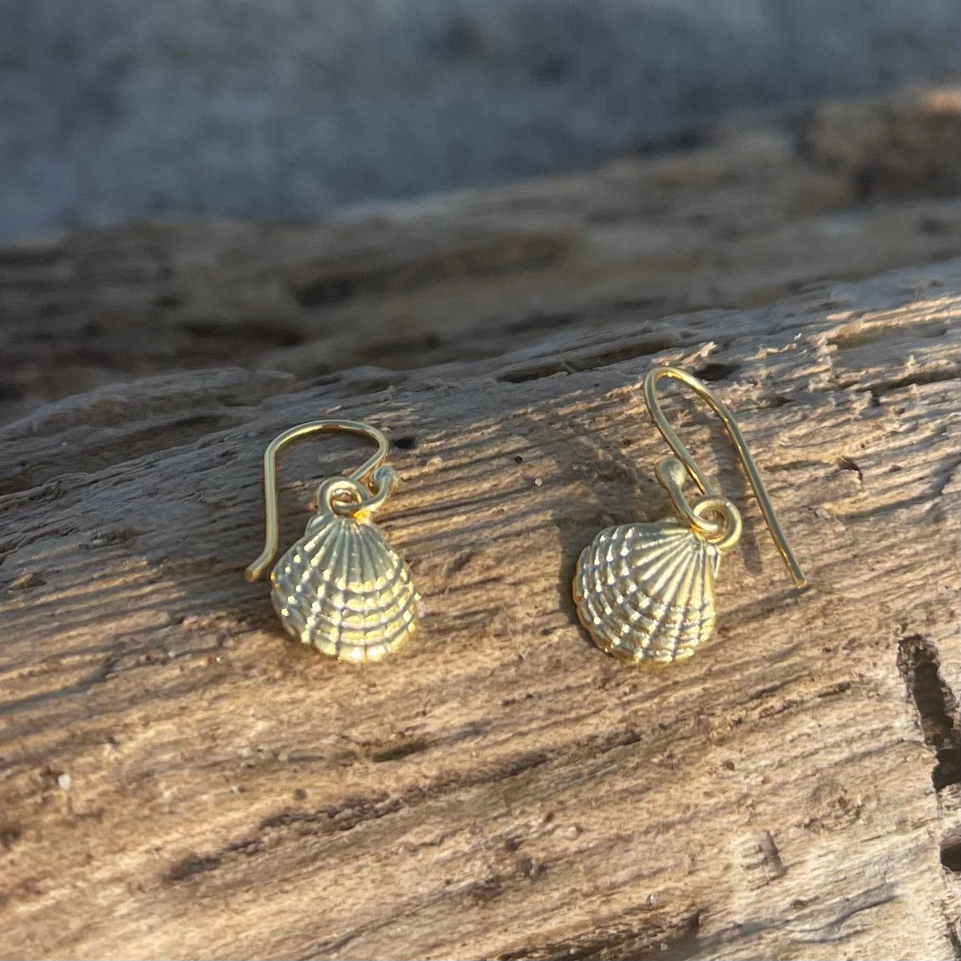 Gold Plated Bronze Shell Dangle Earrings-Jenstones Jewelry