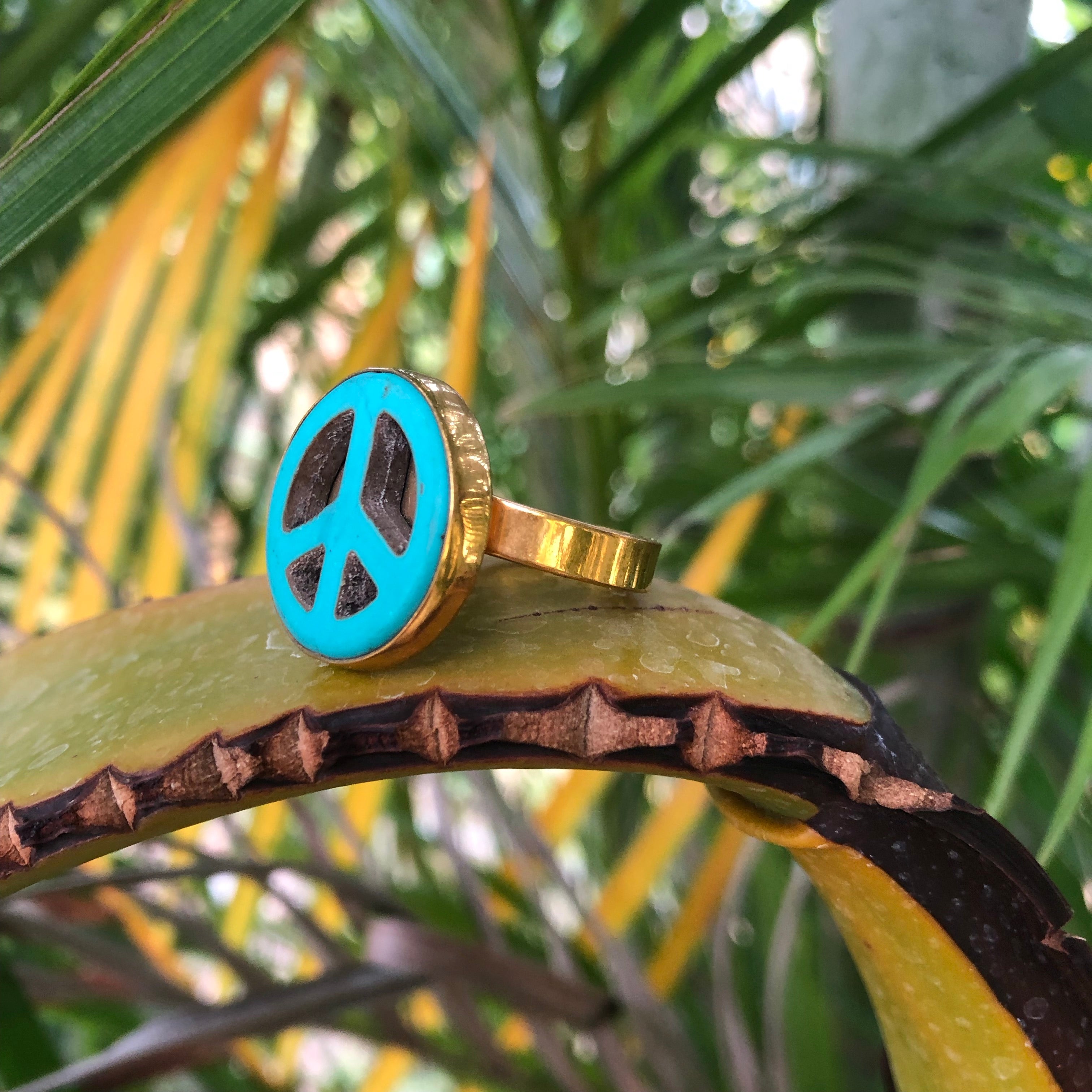 Turquoise Peace Bronze Ring-Jenstones Jewelry