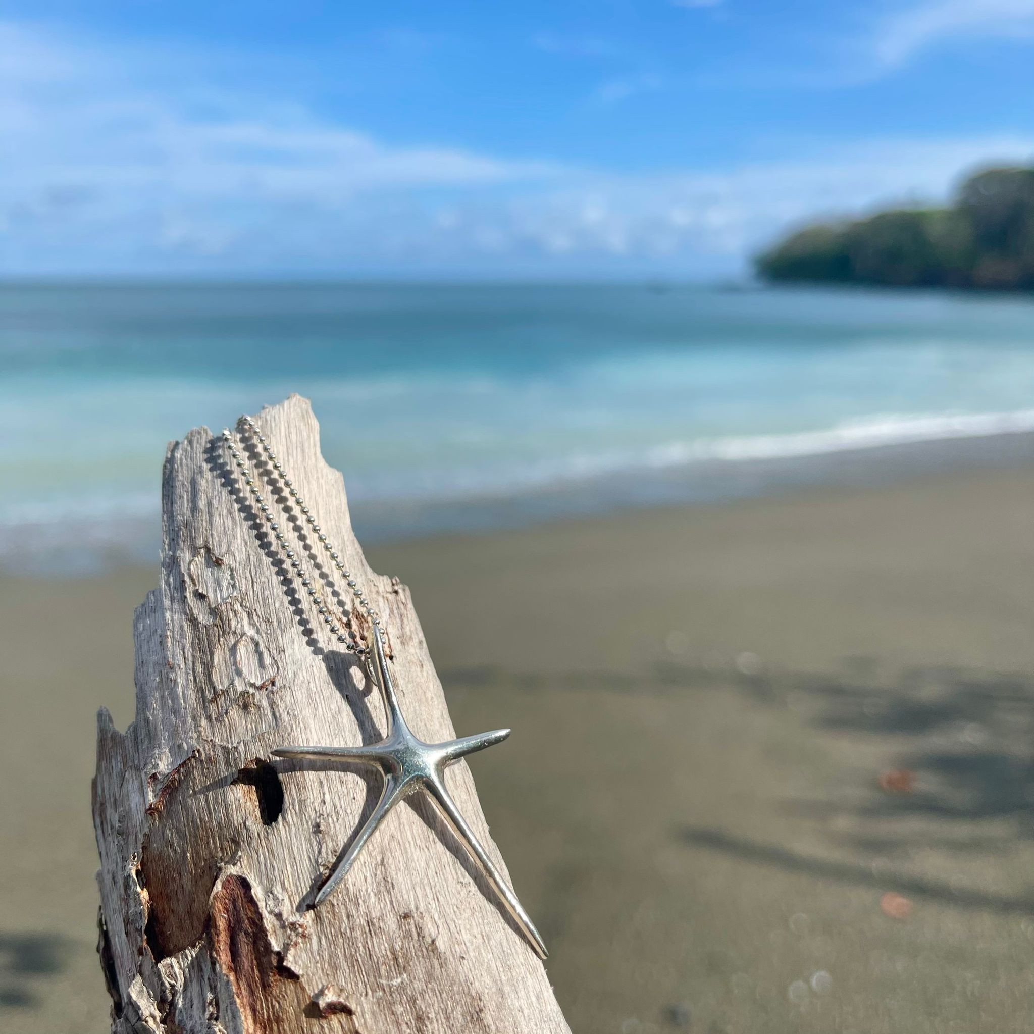 Spiny Starfish Pendant-Jenstones Jewelry