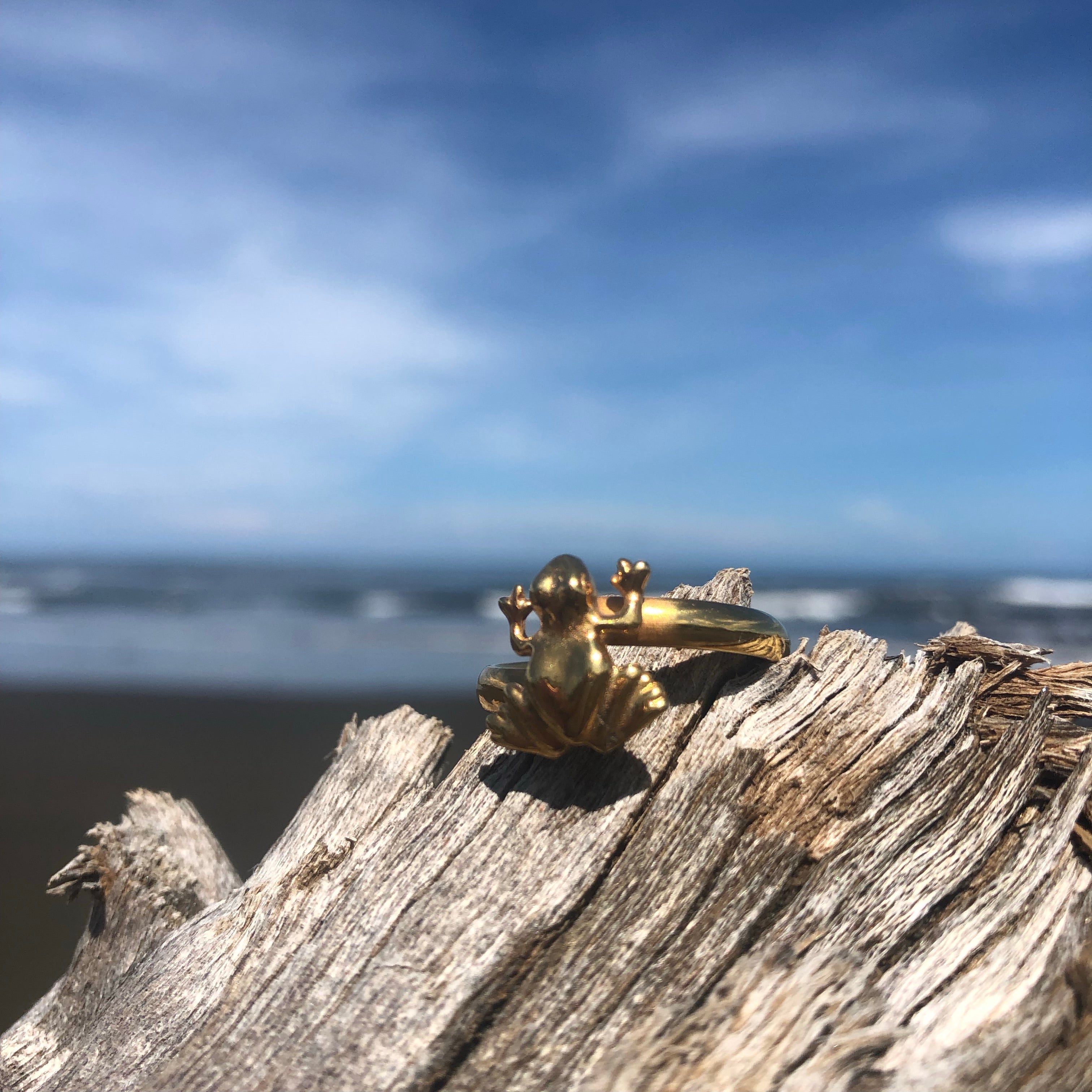 Ring Bronze Frog-Jenstones Jewelry