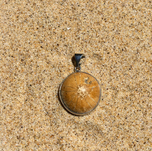 Fossilized Sand Dollar Pendant Large-Jenstones Jewelry