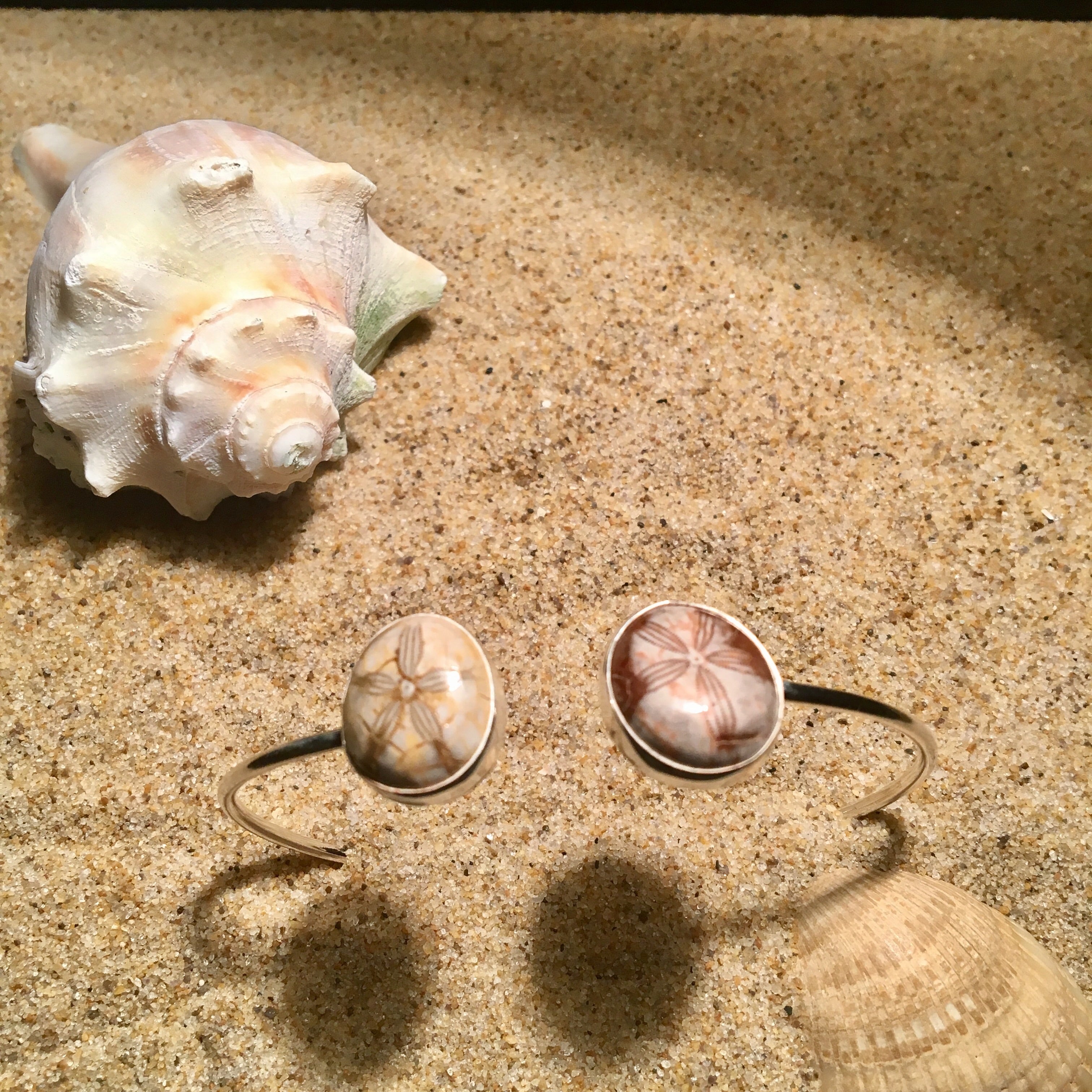 Skinny Wrap Bangle with Double Fossilized Sand Dollars-Jenstones Jewelry